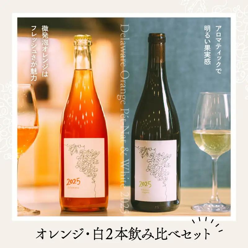 ワイン 2025 オレンジ白 2本飲み比べセット 各750ml ワイン