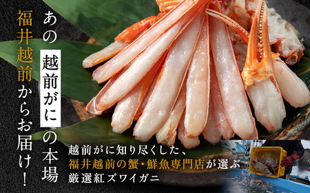 【越前産】刺身もOK！カット済み紅ズワイガニ600g カニポーション（ハーフ）足棒+かに肩+蟹爪+爪下