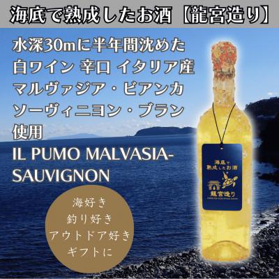ふるさと納税 真鶴町 【海底に半年沈めて熟成した白ワイン】辛口 IL PUMO MALVASIA-SAUVIGNON #9