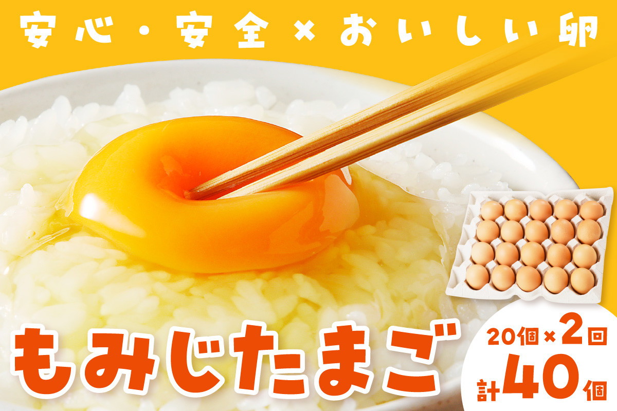 
            【2024年12月お届け】もみじたまご（地鶏有精卵）20個×2回コース【239】
          