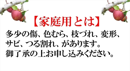 長野県産 サンふじ りんご 家庭用 約10kg （28～50玉）〈2026年12月出荷分／北海道・沖縄県・離島は配送不可〉信州 果物 旬彩 先行予約 季節限定【 当園にて愛情たっぷりに育てたりんご 長