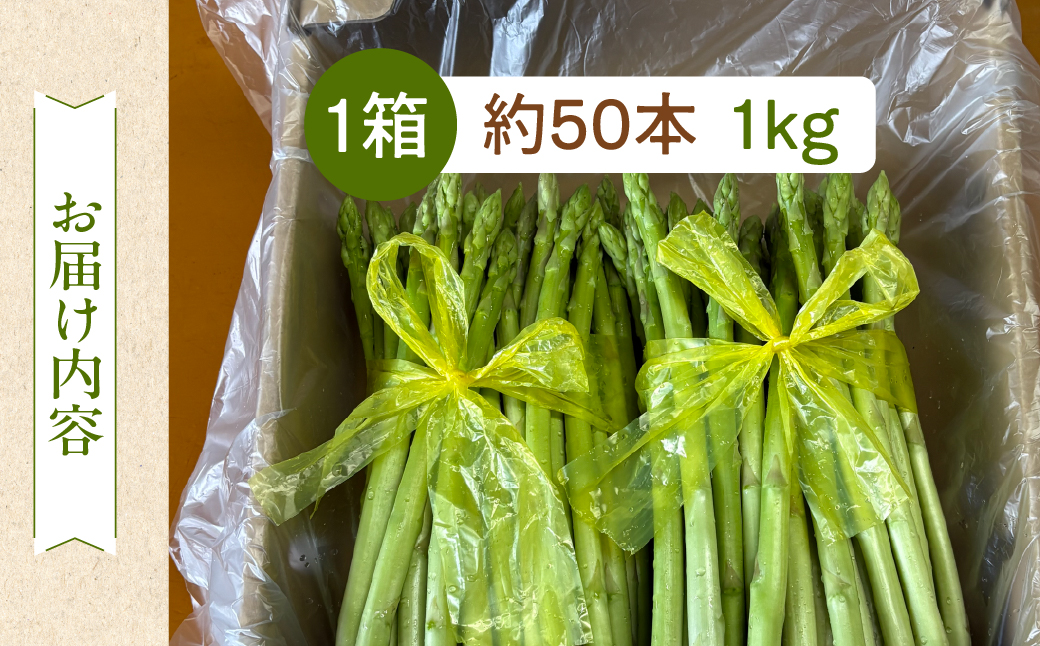 先行予約（2026年5月から順次発送）高級アスパラガス 隆至の龍 1kg（約50本入り）レギュラーサイズ アスパラ 下呂市  限定 こだわり ブランド 期間限定【大黒屋農園】【119-2】 アスパラ 