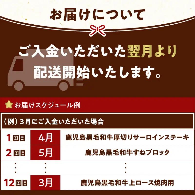 【全12回】鹿児島黒毛和牛定期便 K130-T01 肉 牛肉 冷凍