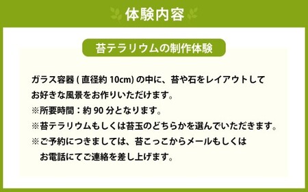 苔テラリウムの制作体験チケット 1名様 