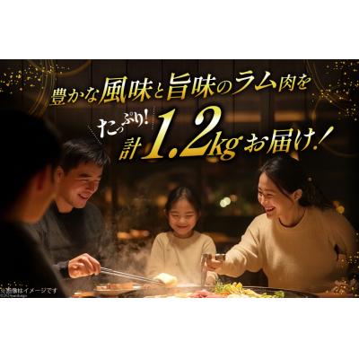 ふるさと納税 砂川市 ラム肉 冷凍 ラムジンギスカン 200g 6パック 計1.2kg [12260734-c]  ◎ |  | 02