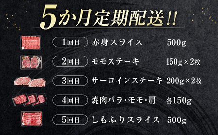 【5カ月定期便】宮崎牛　焼肉 スライス ステーキ  A4等級以上 ブランド 内閣総理大臣賞4連覇　国産牛肉＜9-7＞