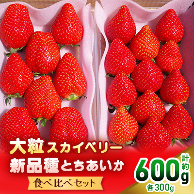 大粒スカイベリー＆新品種とちあいか 食べ比べセット【配送不可地域：離島・沖縄】【1360984】