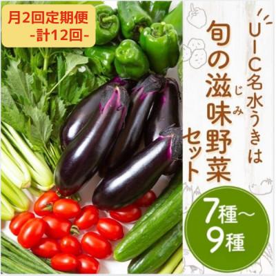 ふるさと納税 うきは市 【2週間毎定期便】名水うきは 旬の滋味(じみ)野菜セット　全12回