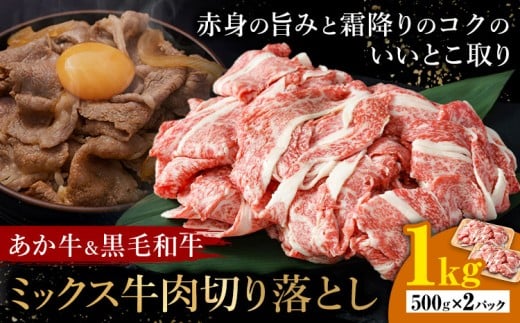あか牛＆黒毛和牛ミックス牛肉切り落とし 1kg 熊本県畜産農業協同組合《60日以内に出荷予定(土日祝除く)》熊本県 産山村 くまもとあか牛 くまもと黒毛和牛 切り落とし 牛肉 肉 熊本県産 和牛 あか牛 黒毛和牛【配送不可地域あり】（離島）