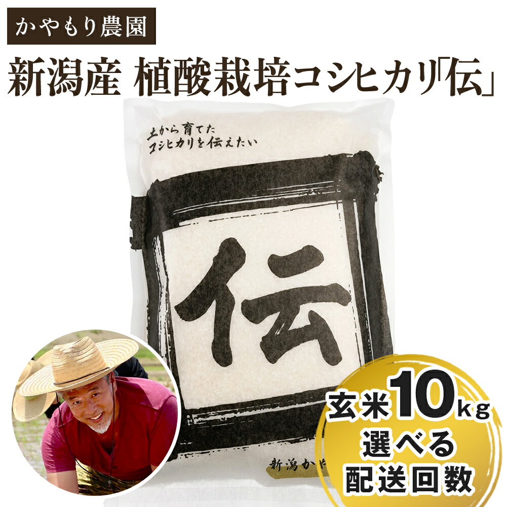 【ふるさと納税】【令和7年産新米】新潟産コシヒカリ「伝」真空パック 玄米10kg（5kg×2） 選べる配送回数（通常配送1回〜定期便12回）《9月下旬～順次出荷》 南麻布の高級料亭で提供される極上米 かやもり農園