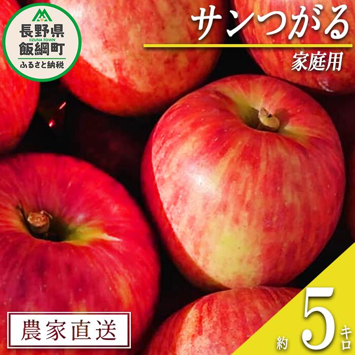 【ふるさと納税】 りんご サンつがる 家庭用 5kg ファームたんぽぽ 沖縄県への配送不可 令和7年度収穫分 長野県 飯綱町 〔 信州 果物 フルーツ リンゴ 林檎 長野 11000円 予約 農家直送 〕発送時期：2025年9月上旬〜2025年9月中旬{**}