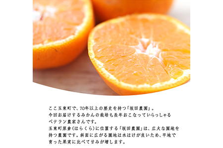 みかん ご家庭用 約10kg 坂田農園 みかん