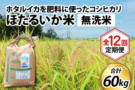 【訳あり】コシヒカリ 無洗米５kg×12回 計60kg【12ヶ月定期便】米 定期便