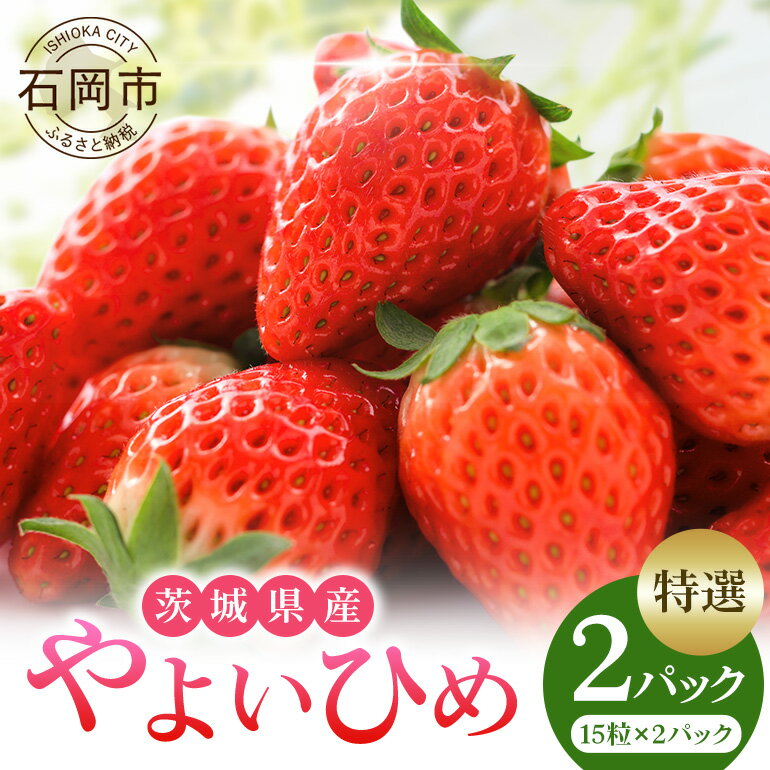 【ふるさと納税】【2026年先行予約】やよいひめ 特選 いちご イチゴ 苺 15玉 2パック 国産 果物 フルーツ くだもの 1月 2月 3月 発送 冬 旬 産地直送 農家直送 産直 甘い デザート スイーツ 家庭用 贈答 贈答用 茨城 茨城県 石岡市 (A13-004)