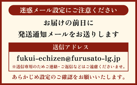 越前がに本場の越前町からお届け！越前がに 浜茹で≪竹セット≫2～3人前 【12月発送分】 かに酢 かにの食べ方しおり かにスプーン付き【かに カニ 蟹】【福井県 越前町 雄 ズワイガニ ボイル 冷蔵 