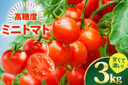 ミニトマト 高糖度 【甘くて濃い】 ミニトマト 3kg [山口製茶 長崎県 東彼杵町 hs42bag310000] 甘い 濃い エコ スイート 単為結果性 自然着果
