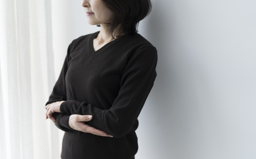 Vネックプルオーバー 度詰（コゲチャ）女性用サイズ:M(38)≪白田のカシミヤ≫
