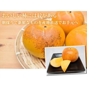 太秋柿 秀品3kg【2025年10月下旬-11月下旬発送予定】(益城町)【1650965】