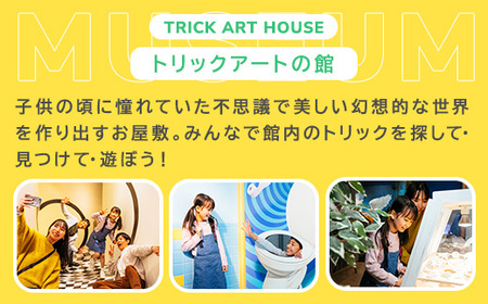 那須とりっくあーとぴあ 2館共通券（大人2人 小人2人）｜ トリックアート チケット 券 入場券 観光 国内旅行 ファミリー 家族 那須 栃木県 那須町〔C-67〕