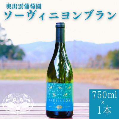 ふるさと納税 雲南市 ソーヴィニヨンブラン(白ワイン 辛口) 750ml×1本