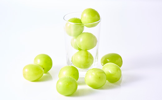 やみつきシャインマスカット 1.5kg(3～4房)【配送不可地域：離島】