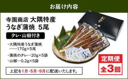 2488 【 定期 3回 】大隅特産 うなぎ蒲焼 5尾（850g）【 国産 】 KN060-T12 うなぎ ウナギ 鰻 鰻蒲焼き ウナギ蒲焼 惣菜 総菜 定期便 魚類 魚貝類 魚介類 海産物 鰻重 う