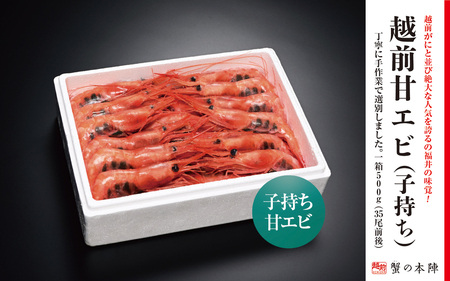 越前甘エビ500g（35尾前後） 子持ち [e56-a005]