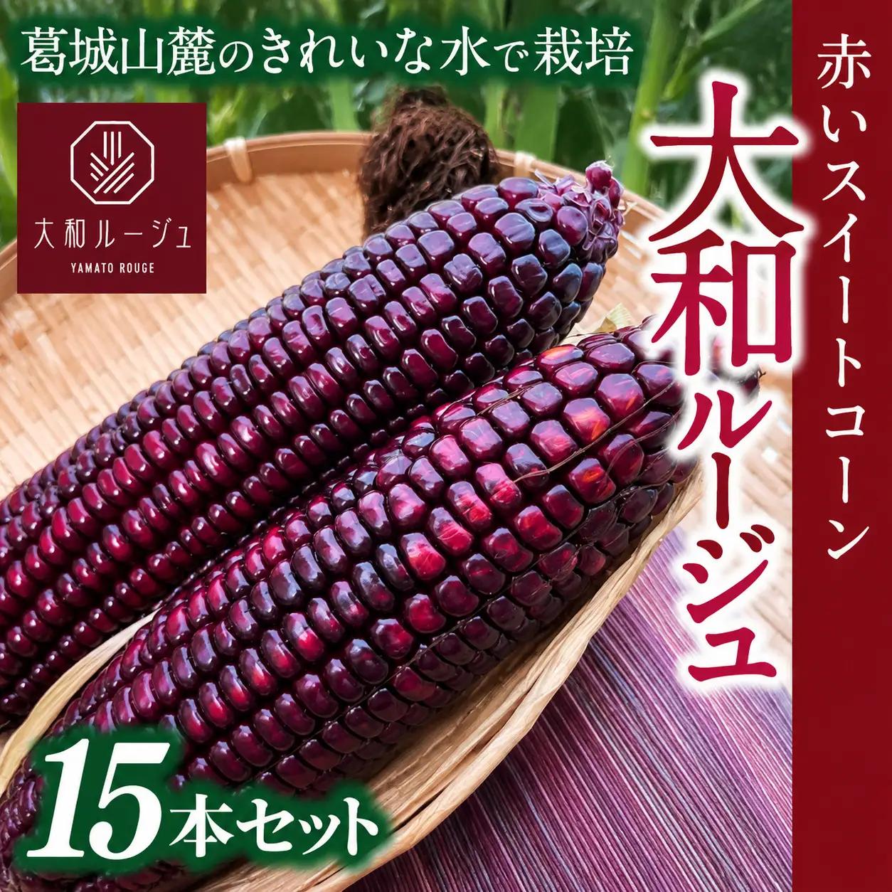 とうもろこし 先行予約 奈良県産 大和ルージュ 計15本 令和8年産 【2026年7月中旬～10月中旬順次発送】 葛城市【smlk038】