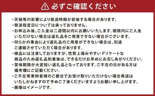 訳あり つる付きニューピオーネ 3房 （ 1房 530g以上 ） 露地栽培 ニューピオーネ つる付き 果汁 果物 くだもの 果実 フルーツ 葡萄 ぶどう ブドウ 【 2026年9月上旬～10月下旬発送