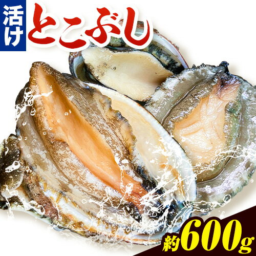 【ふるさと納税】とこぶし 活け 約600g 比井崎漁業協同組合《6月上旬-8月中旬頃出荷》和歌山県 日高町 とこぶし 生もの 海鮮 貝 和歌山県産 冷蔵 流れ子 ながれこ ナガレコ