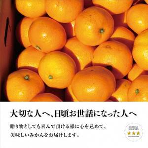 【三つ星ブランド】星乃みかん(4.5kg)【C45-90】【1582444】