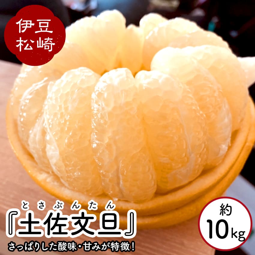【ふるさと納税】婆娑羅農産 土佐文旦 10kg