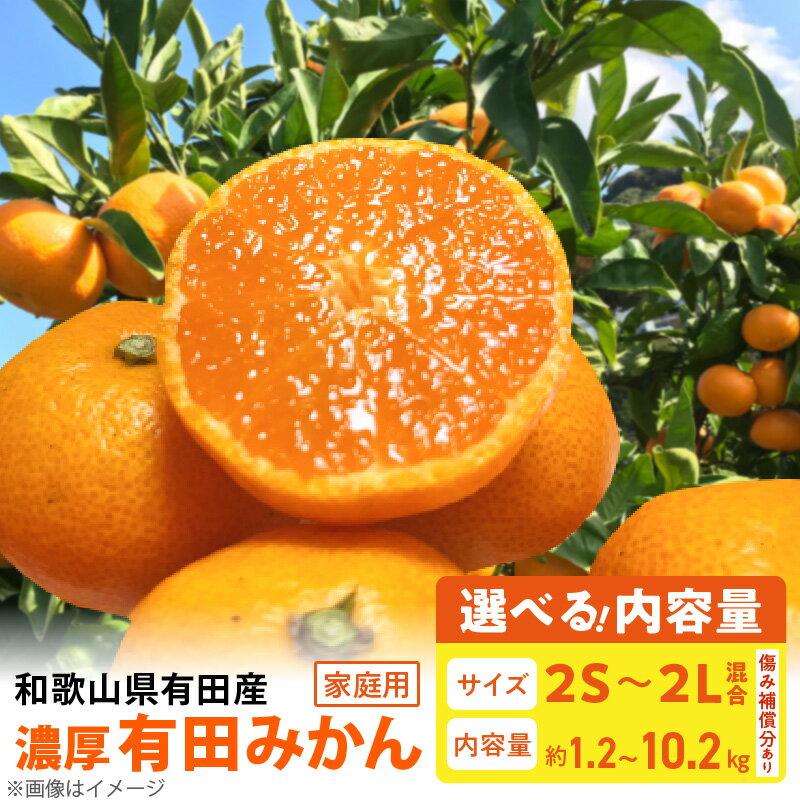 【ふるさと納税】【限定】 ご家庭用 完熟 有田みかん サイズ混合 2S-2L 選べる内容量 約 1.2kg ～ 10.2kg ほどよい 酸味 濃厚 甘味 味わい 抜群 採れたて 新鮮 厳しく 選別 こだわり 果物 フルーツ 果実 柑橘 食品 食べ物 デザート お取り寄せ 和歌山県 湯浅町 送料無料