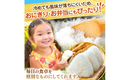 新米 令和8年産 ふさこがね 精米 2kg | あかかげ農園 メディアで紹介 !  精米 1回 山名郷米 やまなごうまい フサコガネ 千葉稲作 千葉県産 米 コメ こめ お米 千葉県 君津市 きみつ