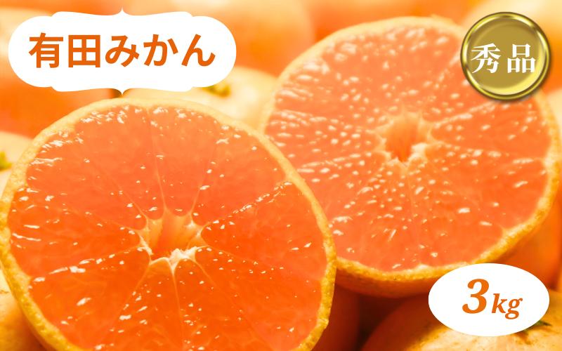 
有田みかん 3kg 秀品 ※2024年10月下旬～2025年1月中旬頃に順次発送予定（お届け日指定不可)
