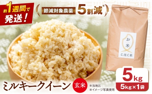 【スピード発送】【令和8年産 新米】米 ミルキークイーン 5kg 玄米 長浜市/エース物産 [AQAK009] 米 お米 ご飯 玄米 ミルキークイーン 近江米 滋賀県産 長浜市産 こめ 玄米 お米 食品 国産 炊きたて 米ギフト もちもち ブランド米 食卓 人気 ごはん ご飯 おにぎり 炊き込みご飯 おすすめ
