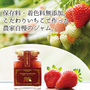 No.008 手造りイチゴジャム(約200g×10本)【片平観光農園】