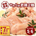 【ふるさと納税】【レビューキャンペーン対象】宮崎県産鶏 やわらか若鶏2種 5kg・ 6kg - 内容量を選べる 大容量 鶏むね肉 手羽元 国産若鶏 鶏肉セット ムネ肉 冷凍 胸肉 ヘルシー 唐揚げ たんぱく質 スピード配送便 送料無料 【宮崎県木城町】