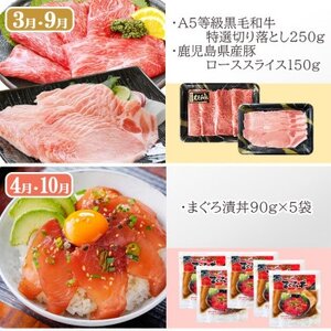 黒毛和牛・黒豚・かつお・まぐろ　充実定期便(全6回) TT-0001【配送不可地域：離島】【1581566】