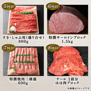 定期便 12回  特選近江牛食べつくしコース ( 定期便 1年 ステーキ肉 焼肉 焼き肉 定期便 ほほ肉 定期便 肉 モモ肉 定期便 バラ肉 定期便 肩ロース肉 定期便 赤身肉 定期便 サーロイン肉 