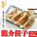 【ふるさと納税】龍介餃子【24個入り×5袋セット】※着日指定不可※離島への配送不可