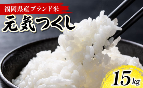 令和7年産 福岡県産米 元気つくし 15kg 精米 ※北海道・沖縄・離島は配送不可 CY013