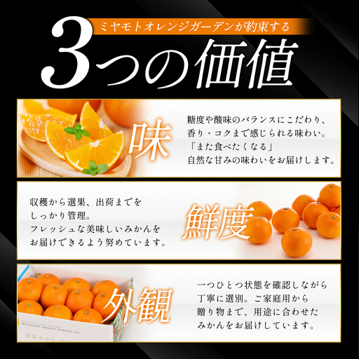 八幡浜産 愛媛みかん【贈答用】15個入り のし付き【C25-167】【1536565】 YWTAP108