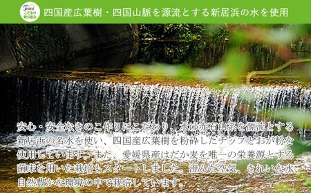 【訳あり】 菌床 生しいたけ 1kg ふぞろいのしいたけ達 愛媛 新居浜産 大きさ 形状 無選別 クール便 ご家庭用