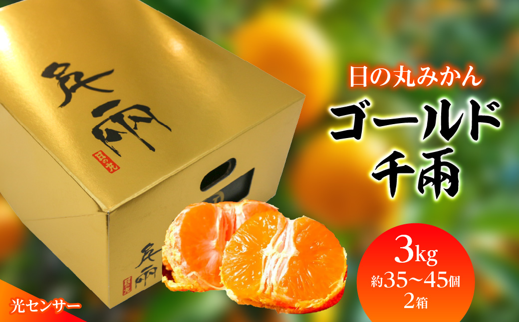 【先行受付】日の丸みかん「ゴールド千兩」3kgサイズSまたは2S/約35〜45個/2箱/光センサー【F79-5】【1452027】 YWTC005