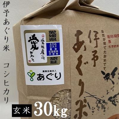 ふるさと納税 松前町 ★令和7年産発送★　伊予あぐり米「コシヒカリ」(玄米30kg)