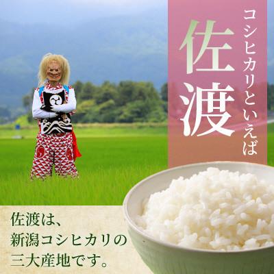 ふるさと納税 佐渡市 佐渡　川上農産のコシヒカリ 精米　4kg(2kg×2袋) |  | 01