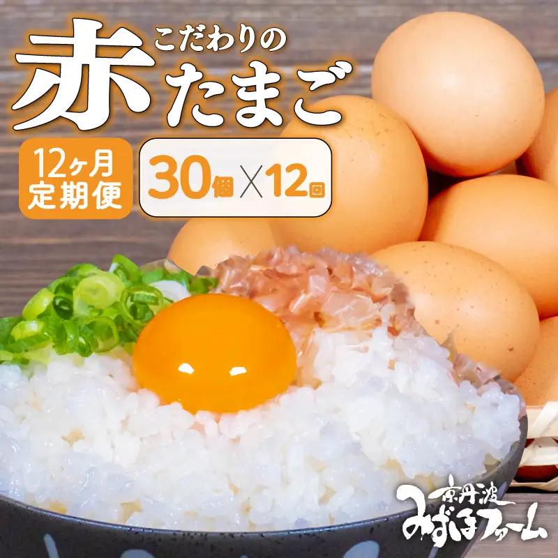 【卵 定期便12回】京丹波こだわり「赤たまご」卵30個