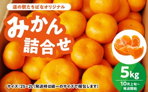 ＜道の駅たちばなオリジナル＞みかん5kg詰合せ（2026年10月上旬より発送開始） みかん ミカン オレンジ くだもの 果物 フルーツ デザート 極早生 早生 甘い 福岡県 八女市