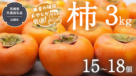 柿 3kg（15～18個）【令和6年10月より発送開始】（茨城県共通返礼品：石岡市産） 柿 かき カキ 果物 フルーツ 茨城県産